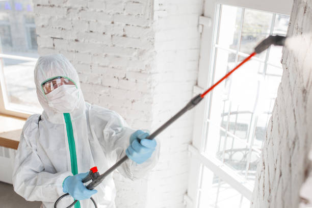 Best Mold Remediation for Healthcare Facilities  in Schnecksville, PA