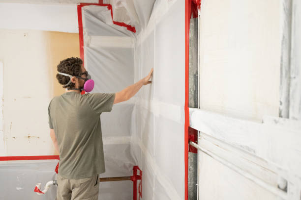 Best Mold Removal for HVAC Installations  in Schnecksville, PA